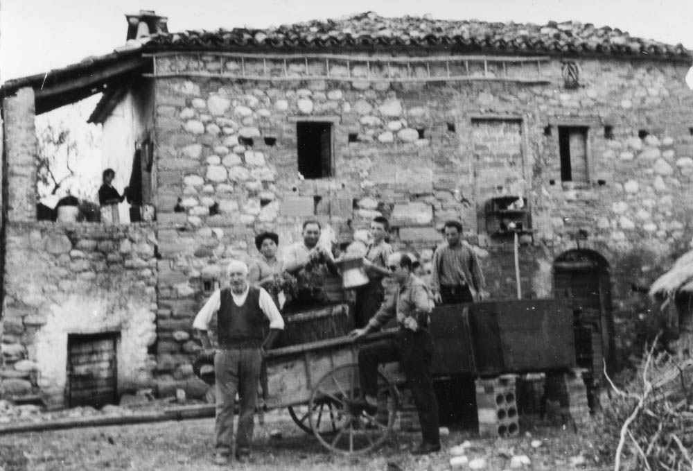 Memorie di Vita Contadina