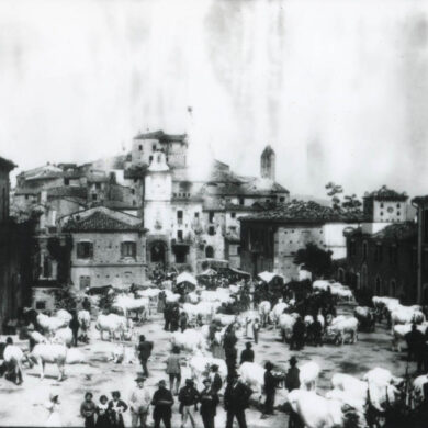 Anno 1905/10 ca. - Collezione Nicodemi - Di Camillo