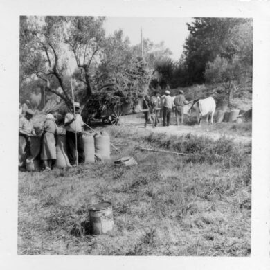 Sant'Agostino di Basciano, Anno 1957/59 ca. - Collezione Giuseppe Di Camillo